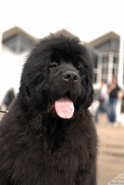 Фотография № 93290