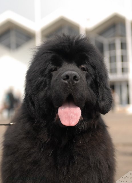 Фотография № 93292