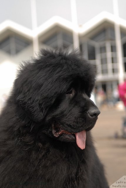 Фотография № 93293