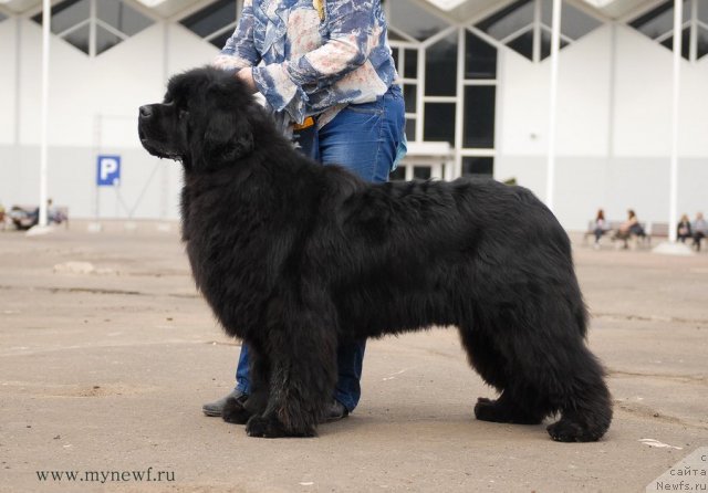 Фотография № 93298