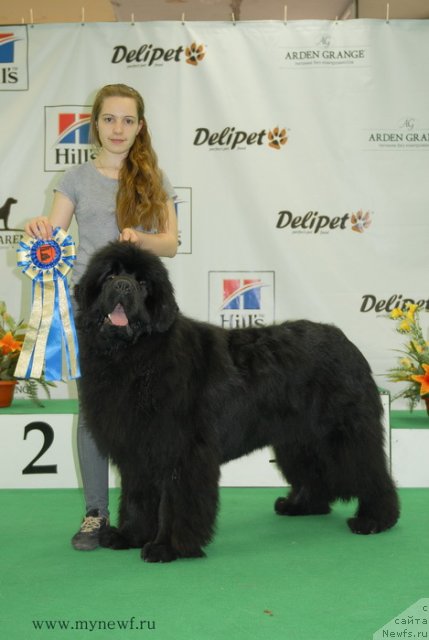 Фотография № 93304