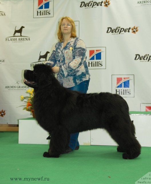 Фотография № 93308