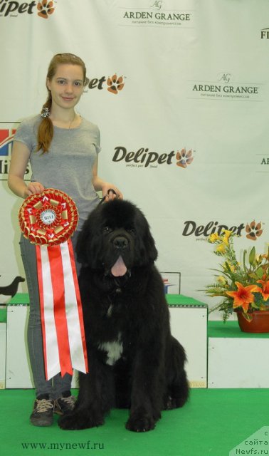 Фотография № 93312