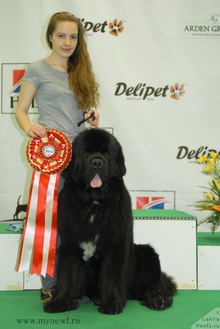 Фотография № 93317