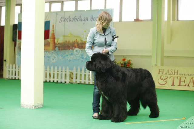 Фотография № 93318