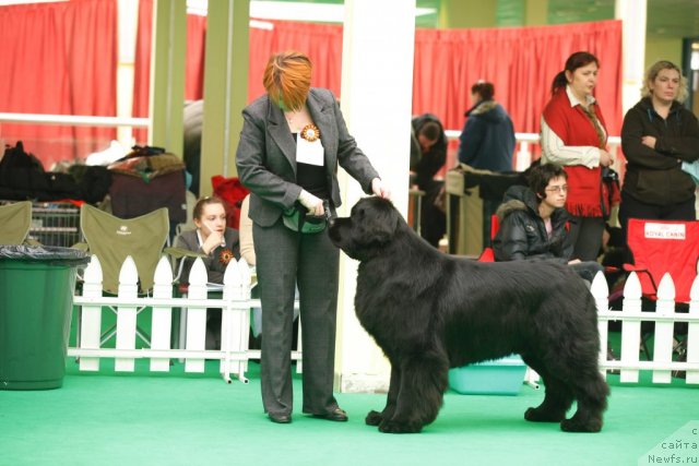 Фотография № 93320