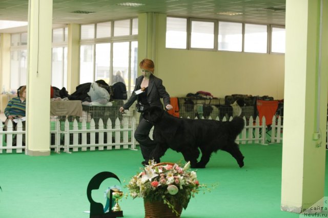 Фотография № 93321