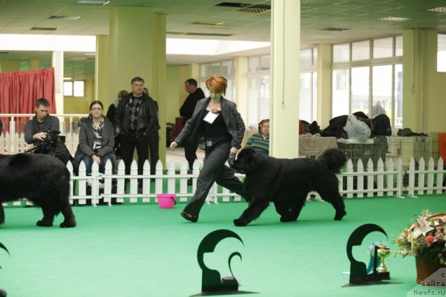 Фотография № 93323