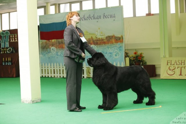 Фотография № 93324