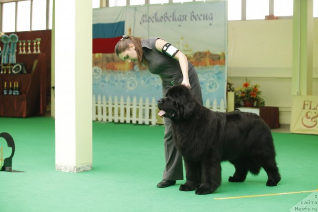 Фотография № 93326