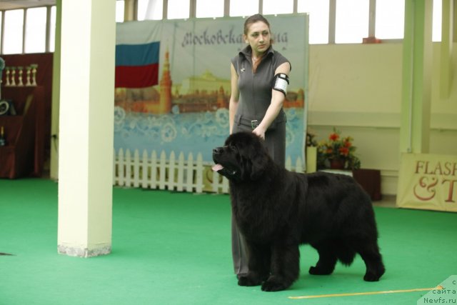 Фотография № 93327