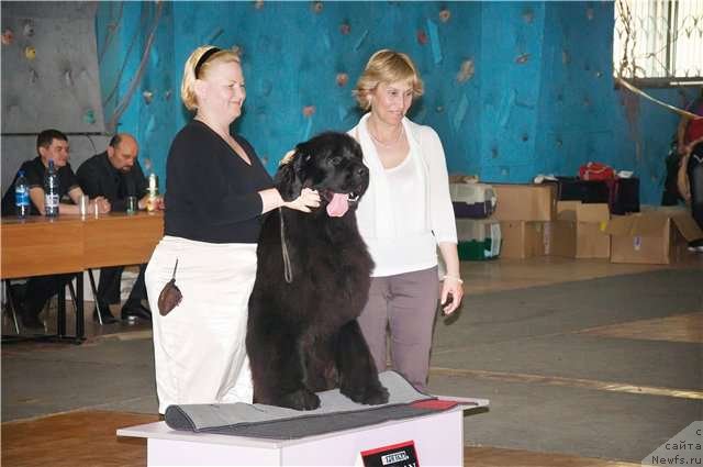 Фотография № 93342