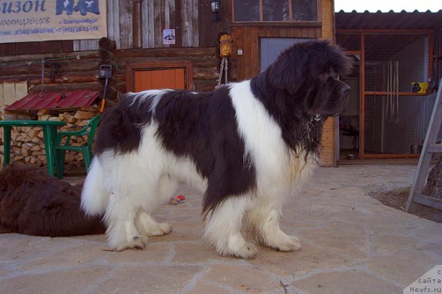 Фотография № 93464