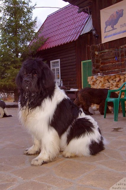 Фотография № 93465