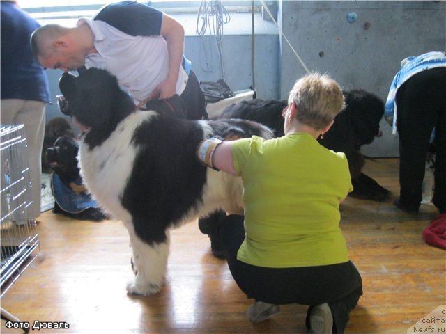 Фотография № 93557