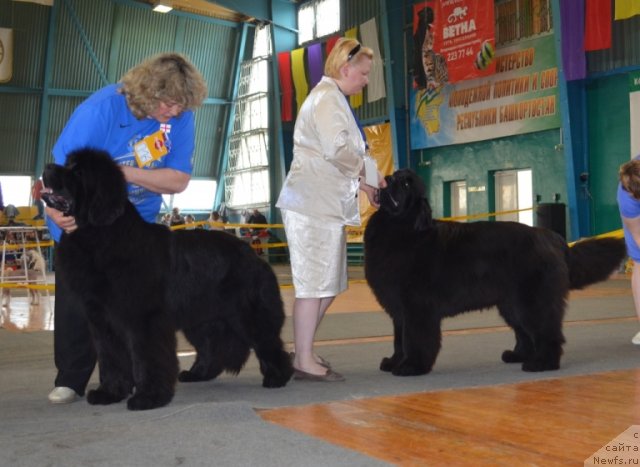 Фотография № 93569