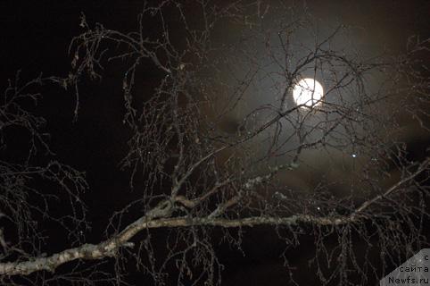 Фотография № 9357