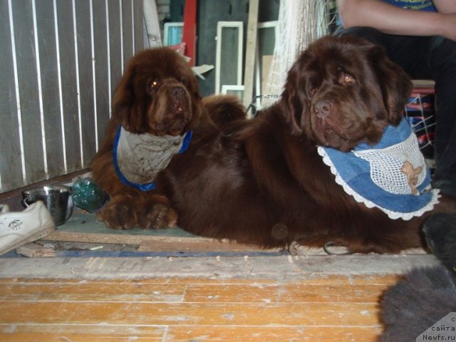 Фотография № 93571