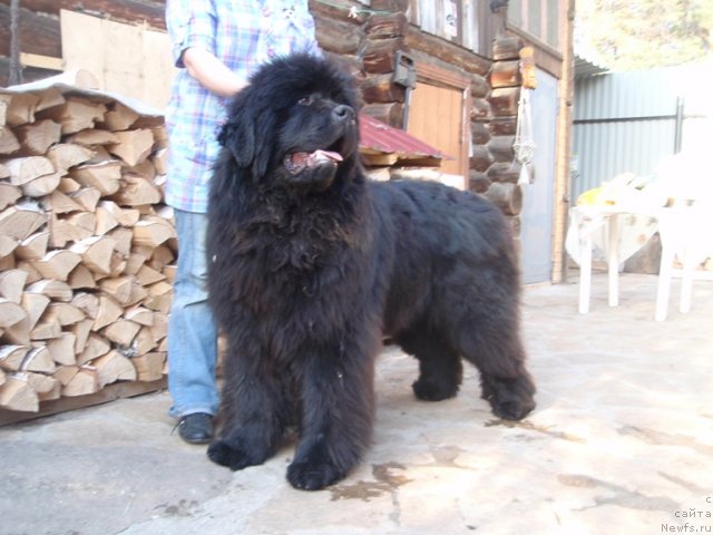 Фотография № 93575