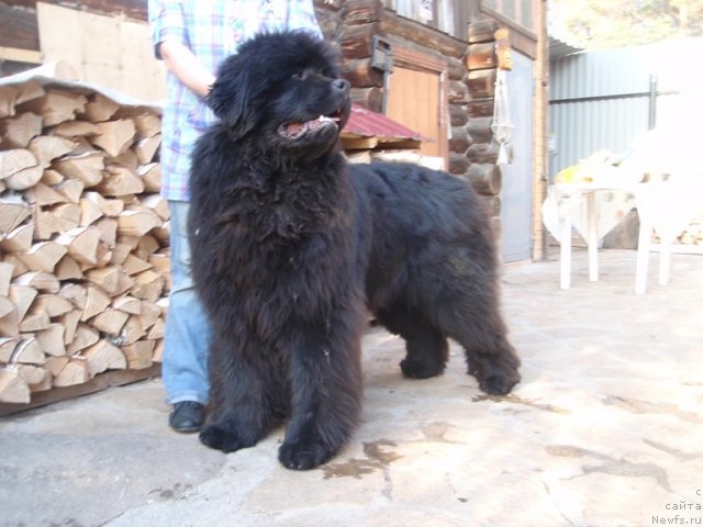 Фотография № 93576