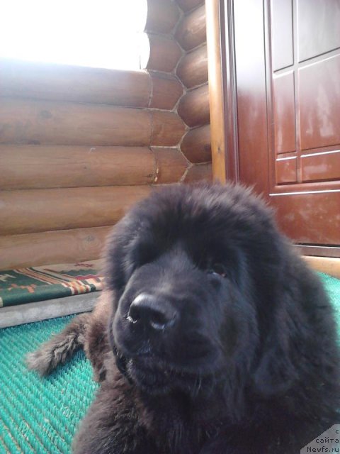 Фото: Cristalmar Cadeaux de Noel