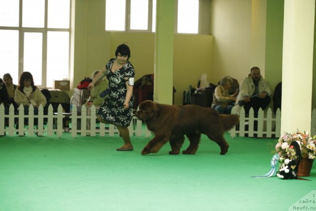 Фотография № 93591