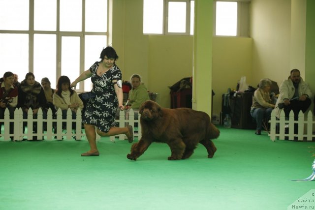 Фотография № 93592