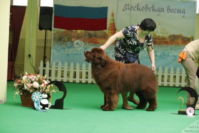 Фотография № 93594