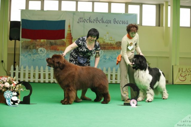 Фотография № 93595