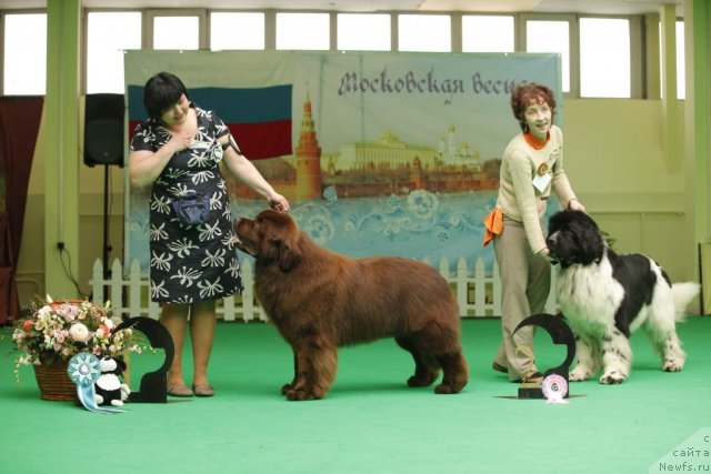 Фотография № 93598