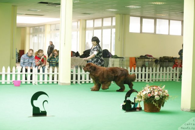 Фотография № 93600