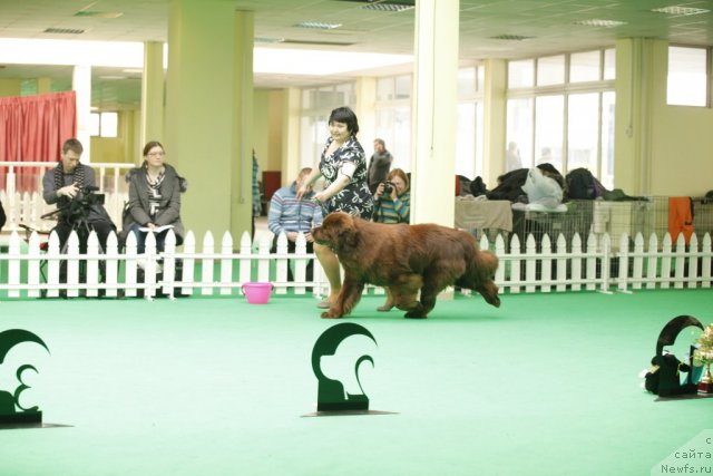 Фотография № 93601