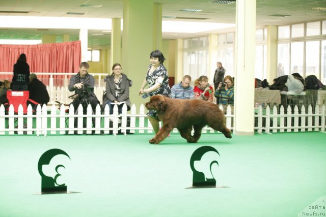 Фотография № 93602