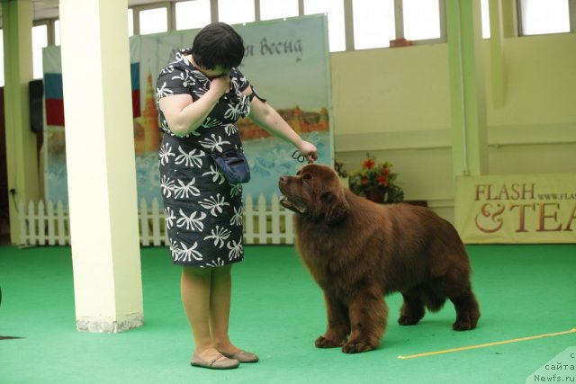 Фотография № 93604