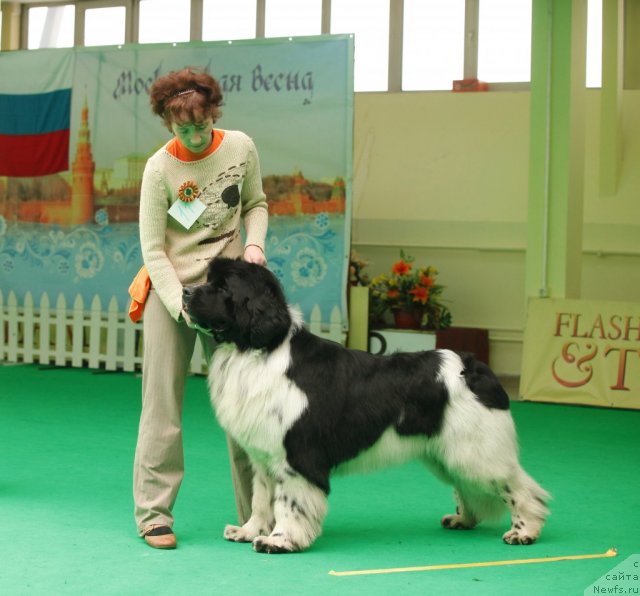 Фотография № 93607