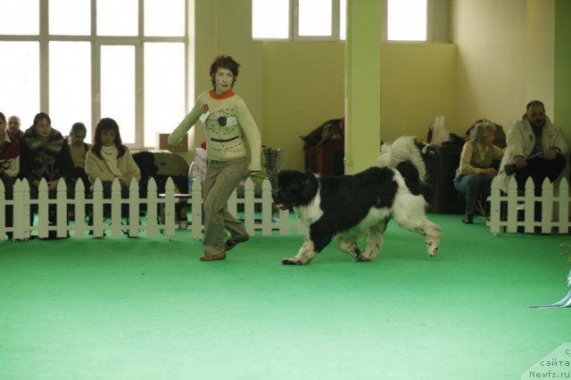 Фотография № 93609