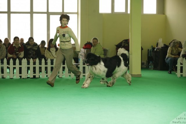 Фотография № 93610