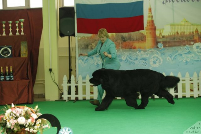 Фотография № 93612