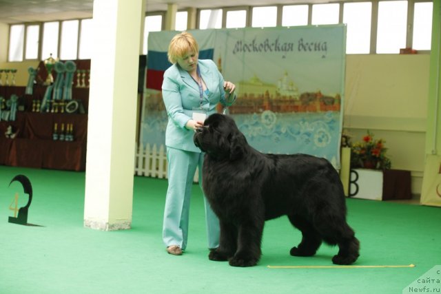 Фотография № 93613