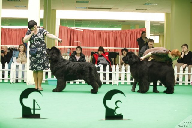 Фотография № 93619