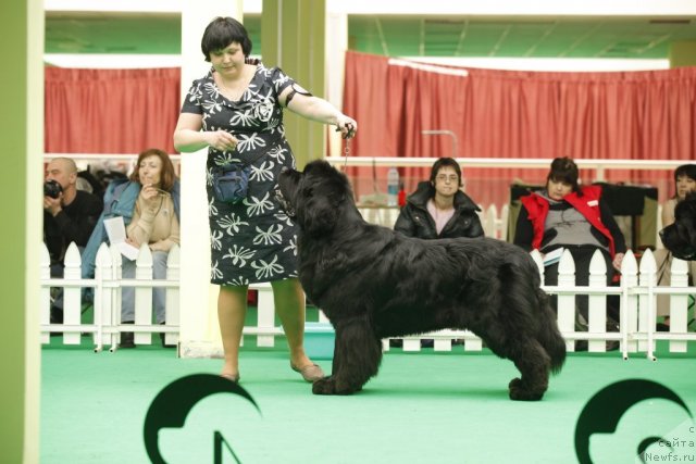 Фотография № 93620