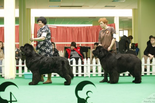 Фотография № 93621