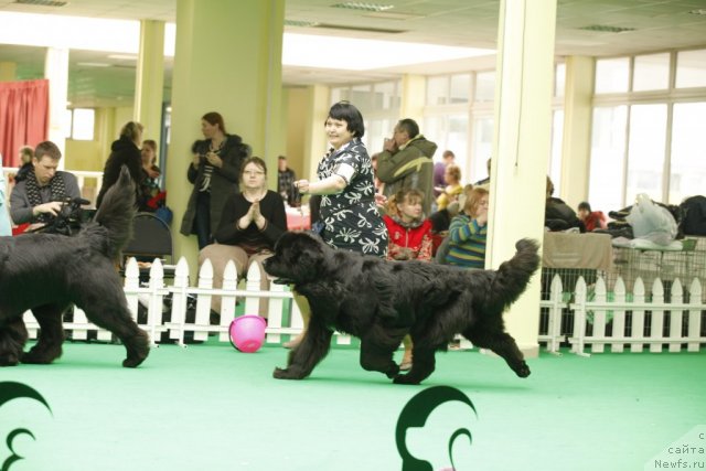 Фотография № 93623