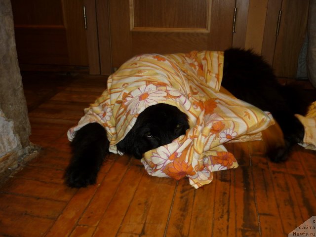 Фото: Сергей Краснов