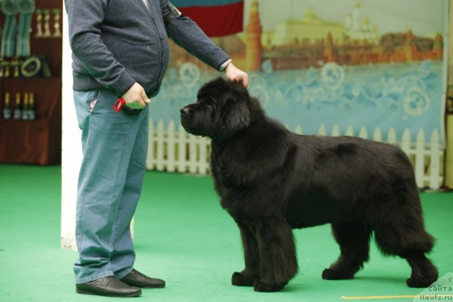 Фотография № 93630