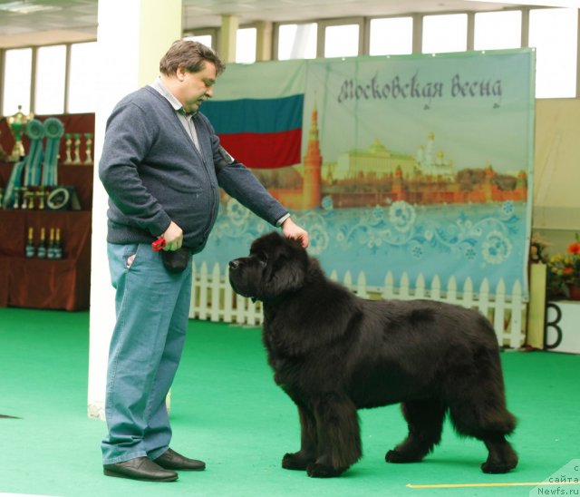 Фотография № 93633