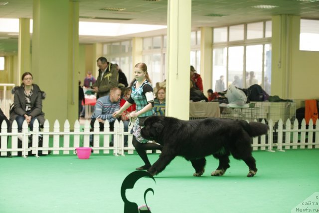 Фотография № 93637