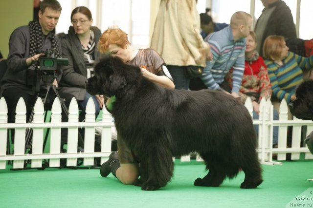 Фотография № 93638