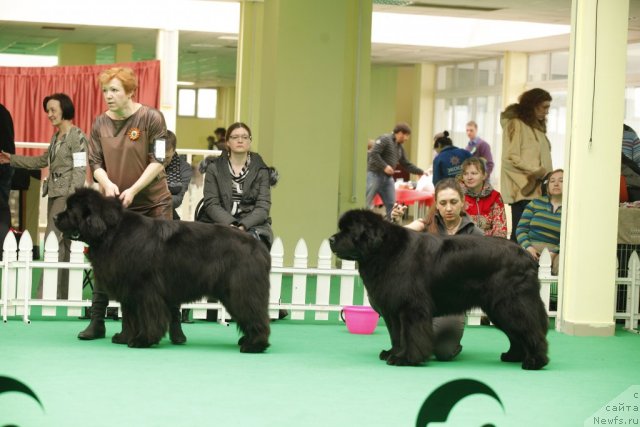 Фотография № 93639