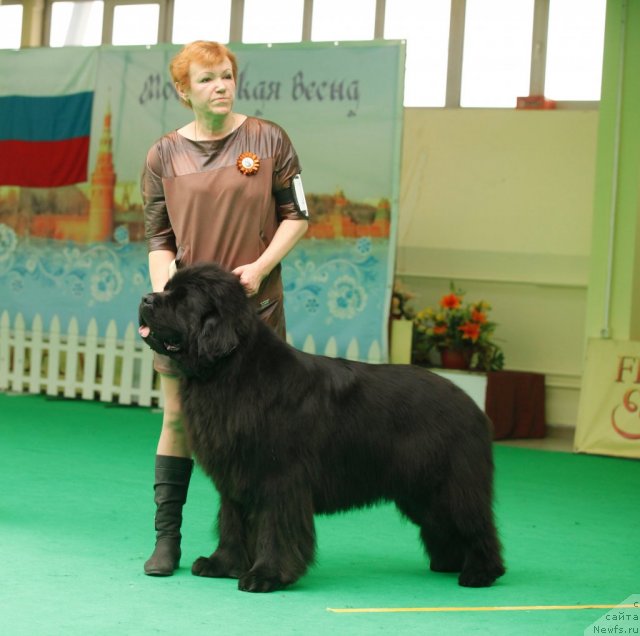 Фотография № 93642